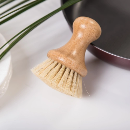 Mexican Sisal Dish Brushes Gain Attention as Durable and Eco-Friendly Kitchen Solution